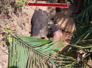 Homem é encontrado morto em mata próximo ao bairro Toca da Raposa, em Lima Campos