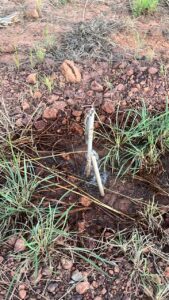 Em Lima Campos moradores denunciam e mostram canos que foram quebrados