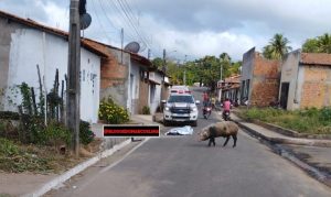 Homicídio no bairro Toca da Raposa, em Lima Campos