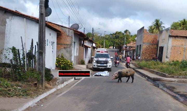 Homicídio no bairro Toca da Raposa, em Lima Campos