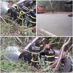 Veiculo sai da pista e capota na MA-020, entre Peritoró e Coroatá