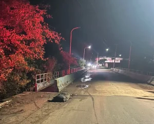 PERIGO! Ponte energizada mata porco e assusta moradores em Coroatá!