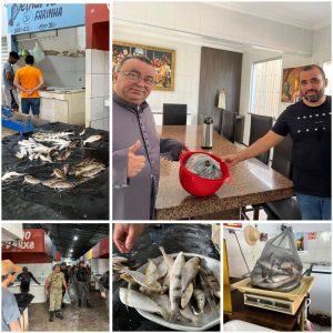 Operação (Desova) em Pedreiras, apreende peixes proibido durante a piracema e faz doação a Projeto Social