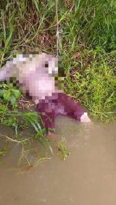 Corpo de Bombeiros retira cadáver de homem de Rio Mearim, em Trizidela do Vale