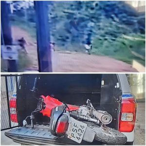 PM recupera moto Pop de um lima-campense após ser assaltado, em Pedreiras