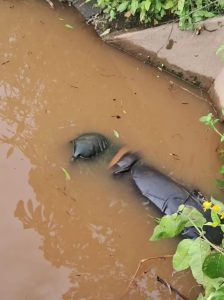 Corpo de homem é encontrado boiando com perfuração em um igarapé, em Capinzal do Norte