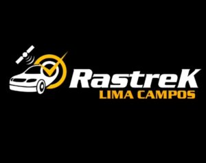 Atenção! Feriados são os dias com maior número de furtos de veículos – RASTREK LIMA CAMPOS