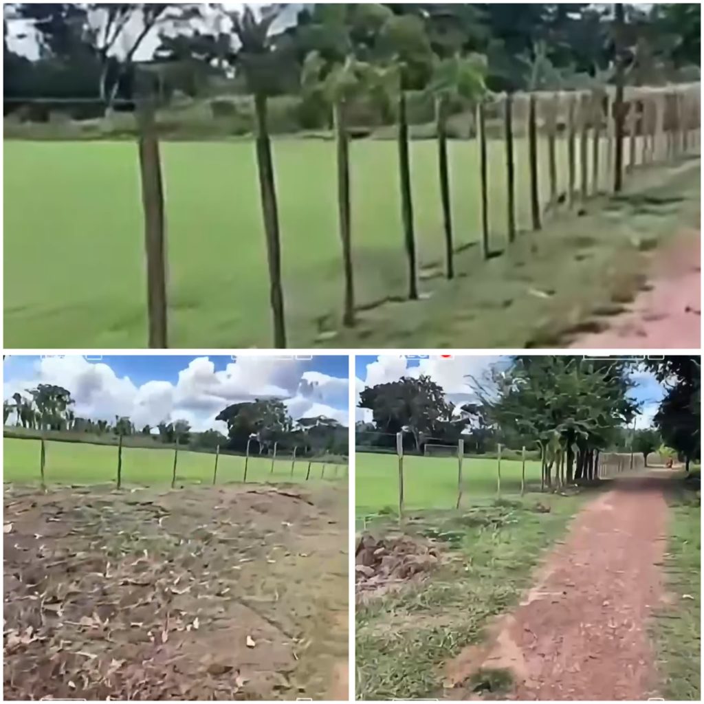 PEDREIRAS – Moradores do povoado Pacas agradecem ao ex-deputado Fred Maia por apoio na revitalização do campo de futebol