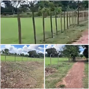 PEDREIRAS – Moradores do povoado Pacas agradecem ao ex-deputado Fred Maia por apoio na revitalização do campo de futebol