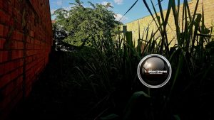 Homem é flagrado cometendo ato obsceno em terreno baldio no centro de Lima Campos