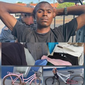 Homem é preso após ameaçar moradores com faca e praticar furtos e roubo em Lima Campos