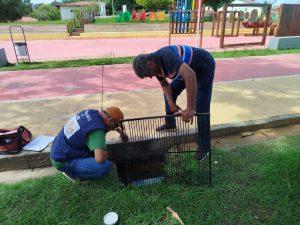 PEDREIRAS EM ALERTA: UMA GUERRA CONTRA O INIMIGO SILENCIOSO