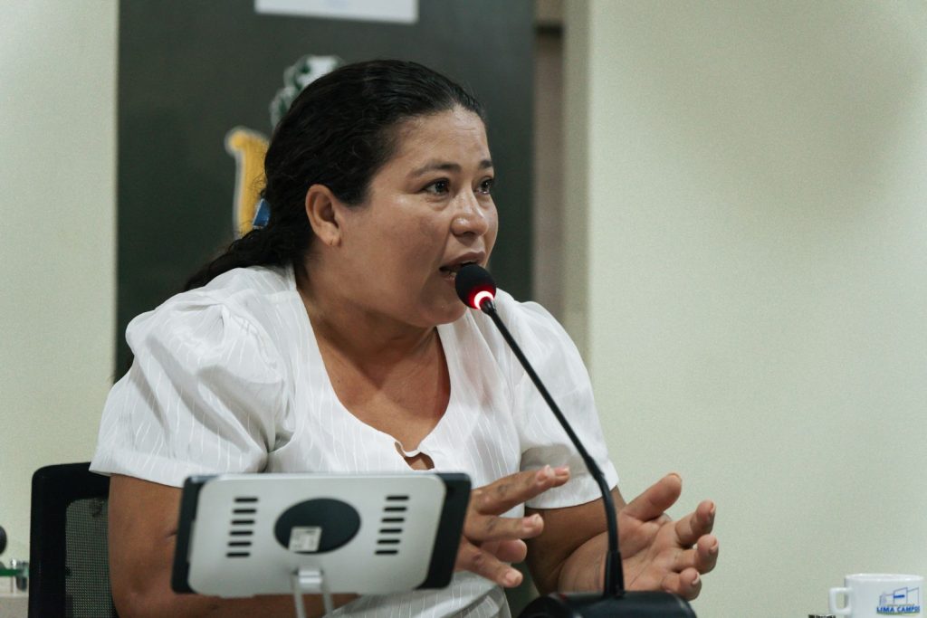 Vereadora Edinete pede recuperação das estradas da zona rural